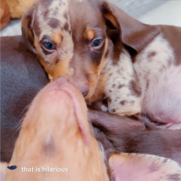 Hi Friend, I’m Christeena - Picture 4 of 16